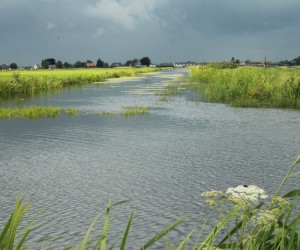 Natuurfotografie