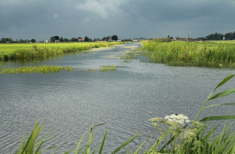 Natuurfotografie